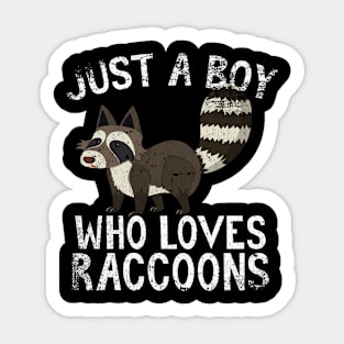 Just A Boy Who Loves Raccoons Sticker